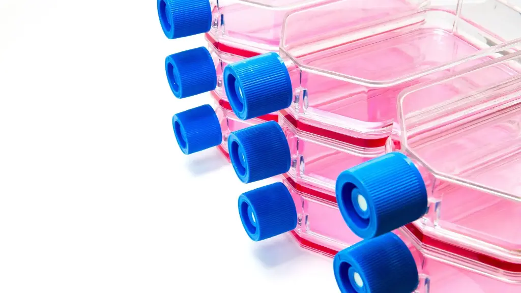 25 cm2 Cell Culture Flask, Vent Cap, TC, Sterile, 10/pk, 200/cs