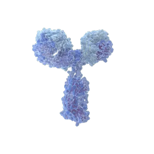 ANXA3 (Human) Matched Antibody Pair