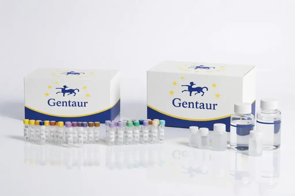 [K1331216-sf] EzWay Human IL-8/CXCL8 ELISA Kit